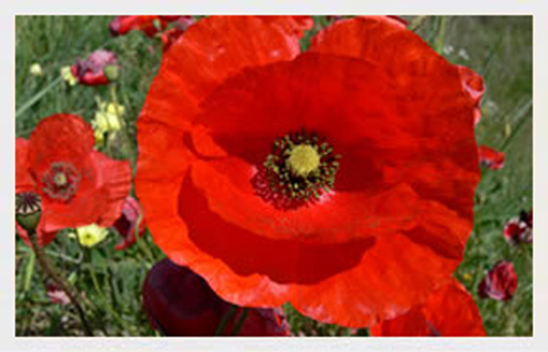 B&B Valdorcia Territorio e Itinerari